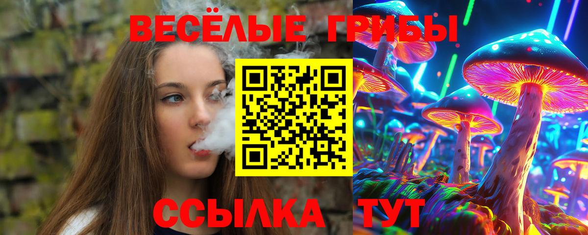 сколько стоит  Галлюциногенные грибы прущие грибы  Вход с VPN  Коркино 